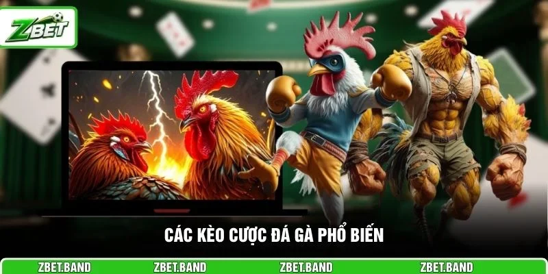 Các kèo cược đá gà phổ biến