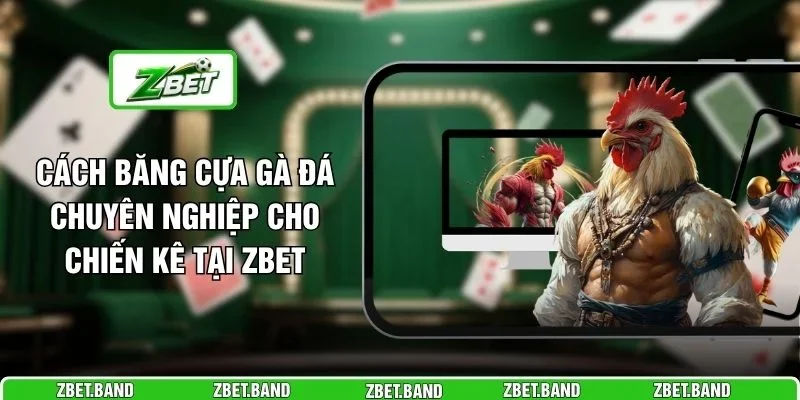 Cách Băng Cựa Gà Đá Chuyên Nghiệp Cho Chiến Kê Tại ZBET