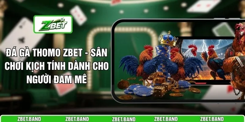 Đá Gà Thomo ZBET - Sân Chơi Kịch Tính Dành Cho Người Đam Mê