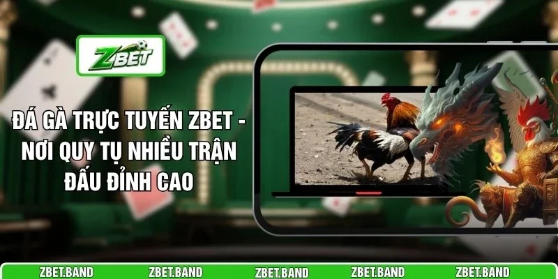 Đá Gà Trực Tuyến ZBET - Nơi Quy Tụ Nhiều Trận Đấu Đỉnh Cao 