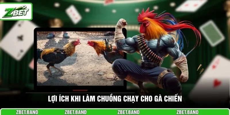 Lợi ích khi làm chuồng chạy cho gà chiến
