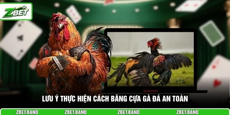 Lưu ý thực hiện cách băng cựa gà đá an toàn