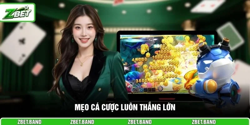 Mẹo cá cược luôn thắng lớn