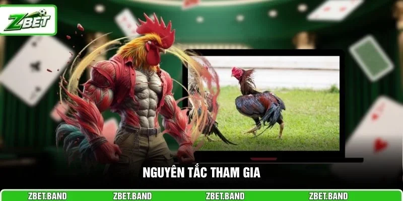 Nguyên tắc tham gia